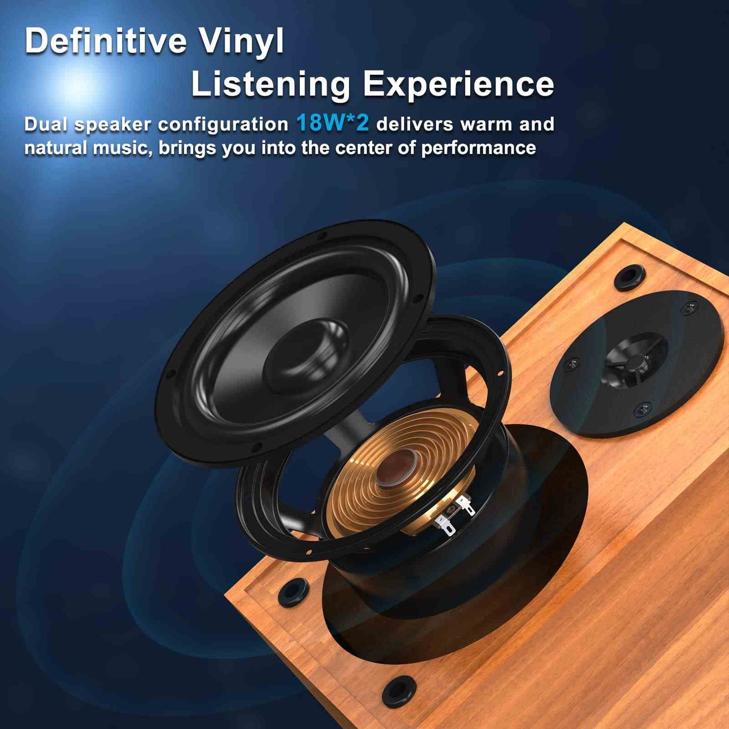 Vinyl Record Player with Magnetic Cartridge & Adjustable Counter Weight
